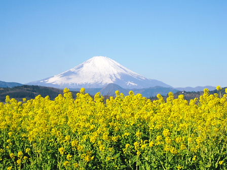 富士山2