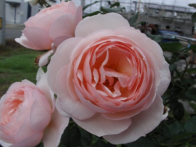 ヘリテージ２００６－３