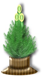kadomatsu