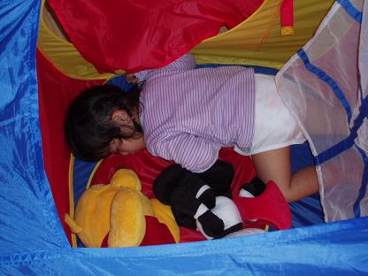 こんなところで……