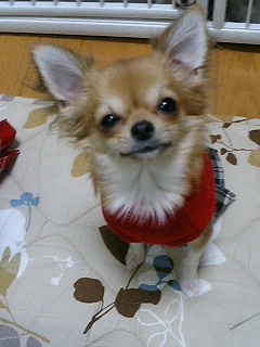 1歳