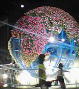 flower globe