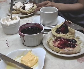 cream_tea_topping.jpg