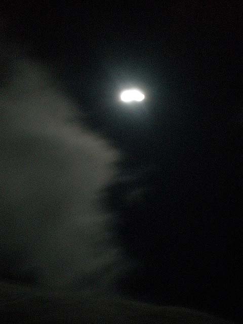 月光の月.jpg