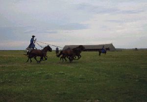 ホルトバージ１