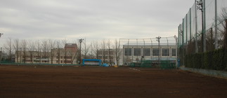 明るいベンチが目立ってます！