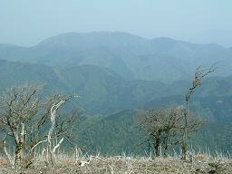 霊仙山遠望.JPG