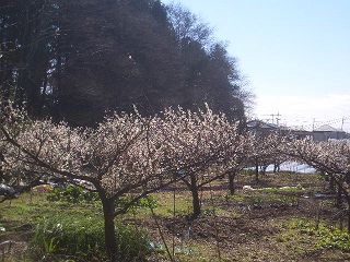 ０９０３０７Ｈ
