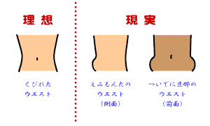 ウエスト