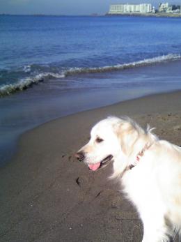 beach2.jpg