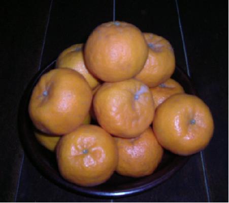 ぽんかん　０７－０１－１１　（０７．０１．１１の日記）