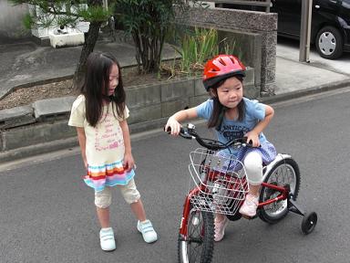 になの自転車