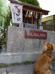ワンワン神社.jpg