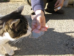 氷-3.jpg