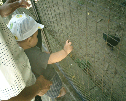 何の鳥さん？