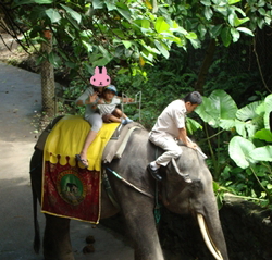 elephant_ride3