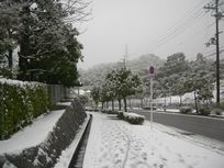 雪３