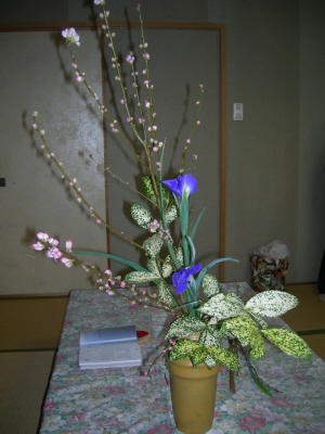 2007.2.11第３回