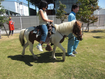 さいたま市動物ふれあいフェスティバル