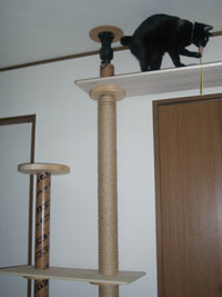 猫タワー