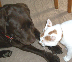 フンフンうんうん