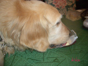 クッチャン　ケーキだよ（２）