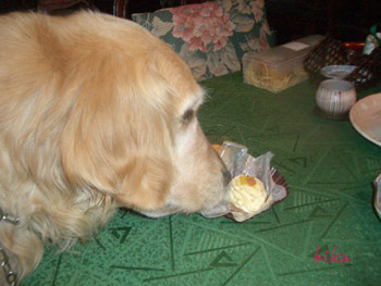 クッチャン　ケーキだよ（３）