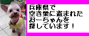 おーちゃんを探してください