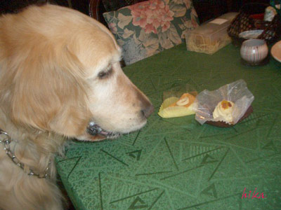 クッチャン　ケーキだよ（４）