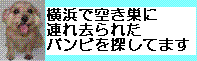 バンビくんを探してください