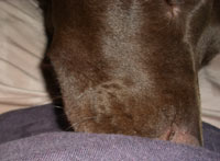 パンくず食べよ