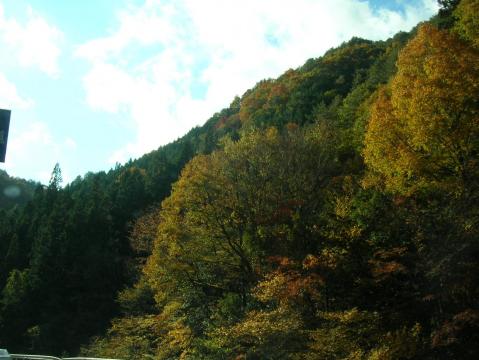 広島県廿日市市吉和