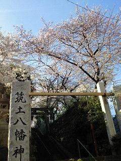 桜8.jpg