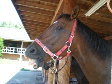 はこだてワールド温泉牧場 妙子の気まぐれ日記 楽天ブログ