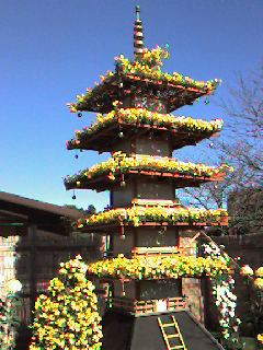 青空に菊の塔