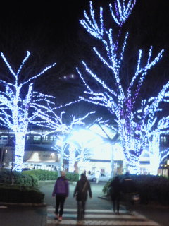 コガルミナターレ 東口のケヤキのイルミ