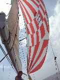 VFSH20060716-8.JPG