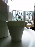 VFSH20060621-5.JPG