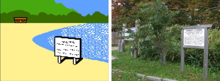 wakoto1.jpg