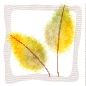 leaf034.gif