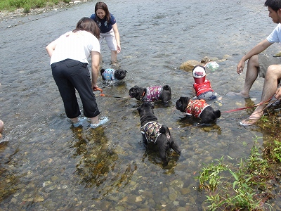 0806河原オフ 022.jpg