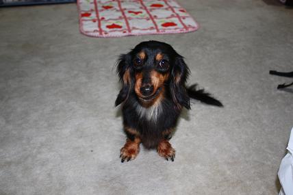 鼻曲がってる？