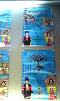 091114_164638雨の日の森の中