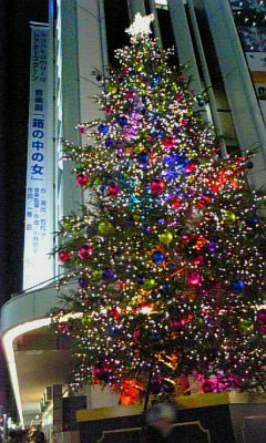 081214_170941箱の中の女