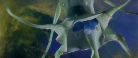 宇宙大怪獣ドゴラ予告編