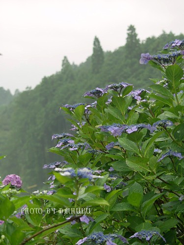 山の上なのよ～。