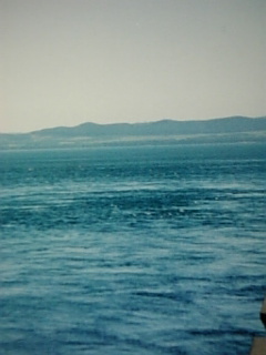 サロマ湖２
