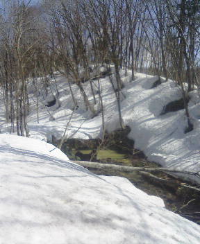 nisekoy