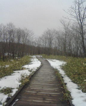 kusirosiyugen