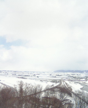 furano